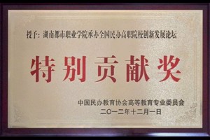 特别贡献奖