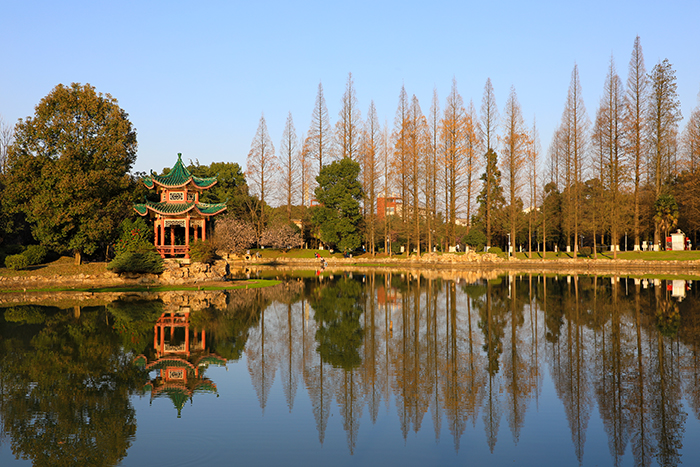 农大寸草湖