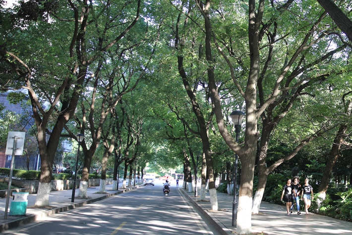 学校环境
