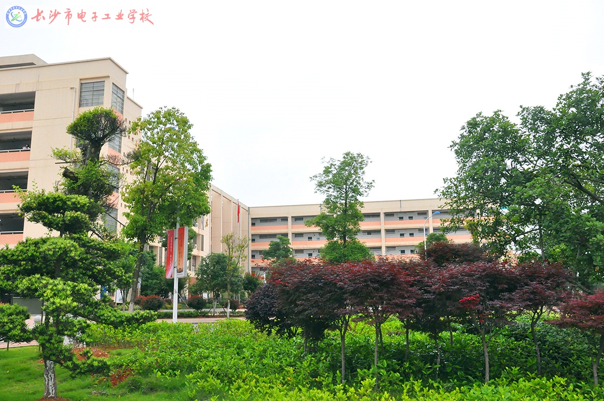 学校环境