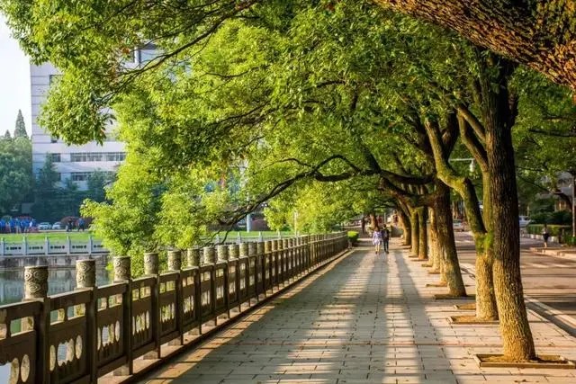 中南大学校园风景