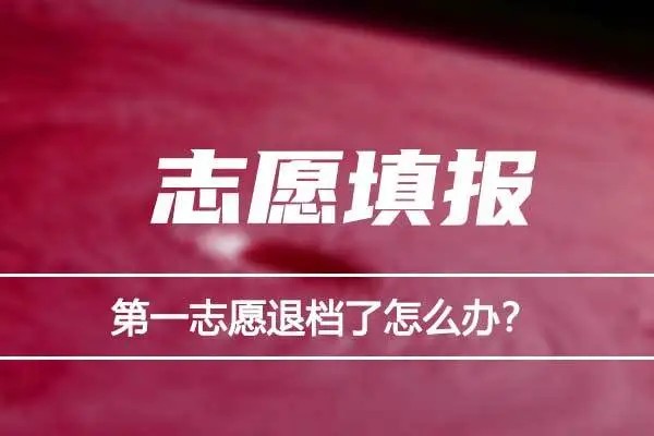 平行志愿被退档后还会被下一个志愿录取吗