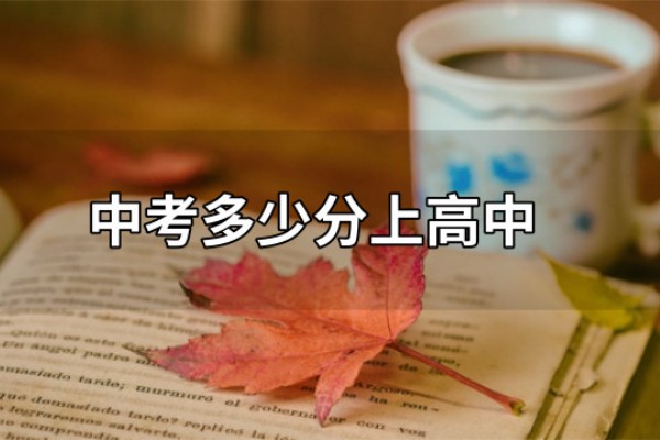 常德中考多少分可以上高中