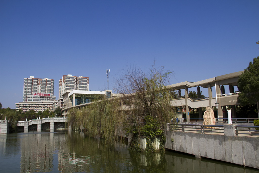 学校环境1