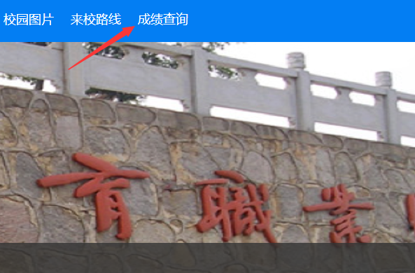 湖南体育职业学院2023年单招成绩录取查询