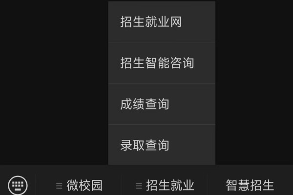 湖南化工职业技术学院2023年单招成绩录取查询