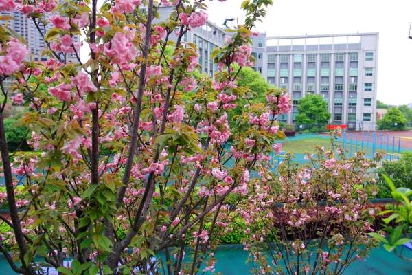 醴陵市陶瓷烟花职业技术学校地址