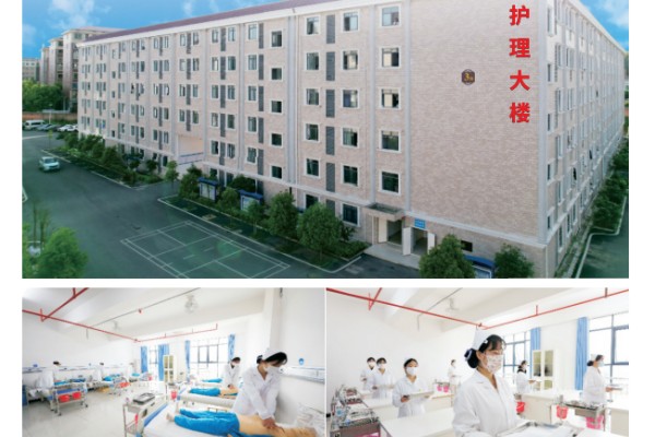衡阳科技职业学院有哪些专业