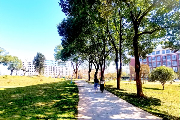 郴州思科职业学院是大专吗