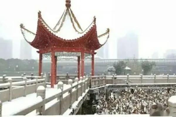 长沙民政职业技术学院王牌专业