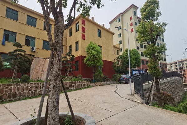 衡阳市文华艺术学校地址