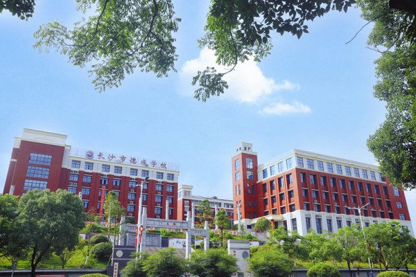 长沙德成学校是公办还是民办