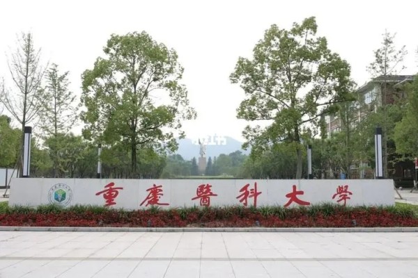 公办二本医学院校有哪些