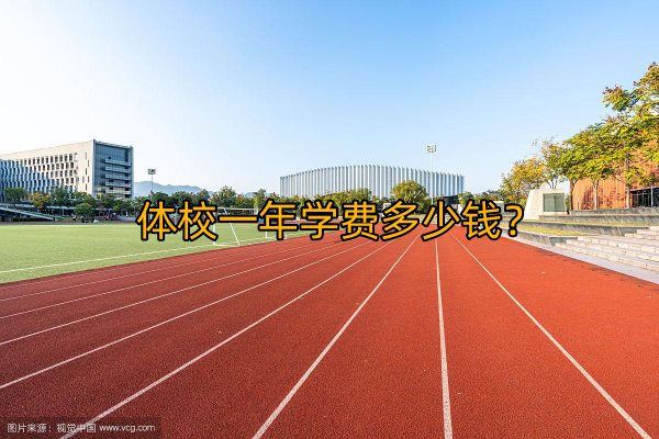 体校一年学费多少钱
