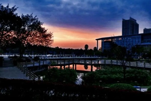 西南政法大学是211吗