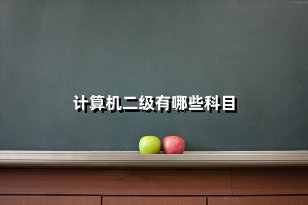 计算机二级有哪些科目