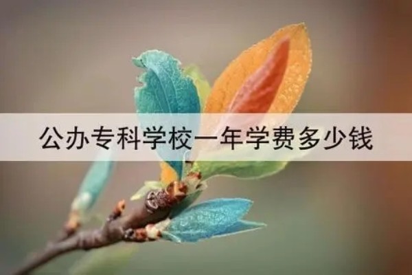 公办大专的学费一年多少钱贵不贵