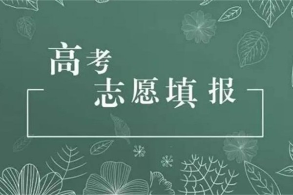 高考志愿填报能填几个