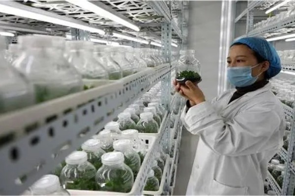 2023生物技术专业就业前景就业方向有哪些
