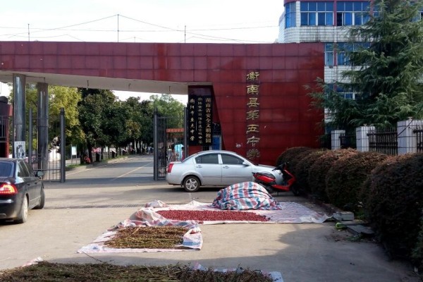 衡南五中是重点高中吗