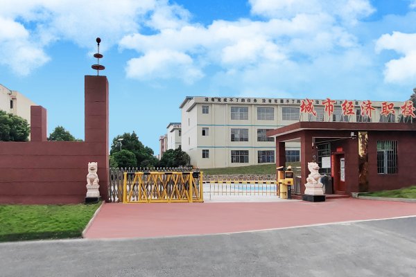 桂阳县有哪些中专学校