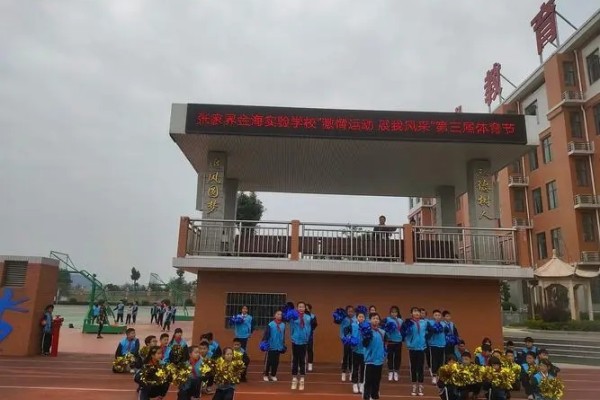 2023年张家界市金海高级中学录取分数线
