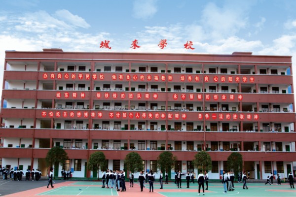 武冈市城东中学是公办还是私立
