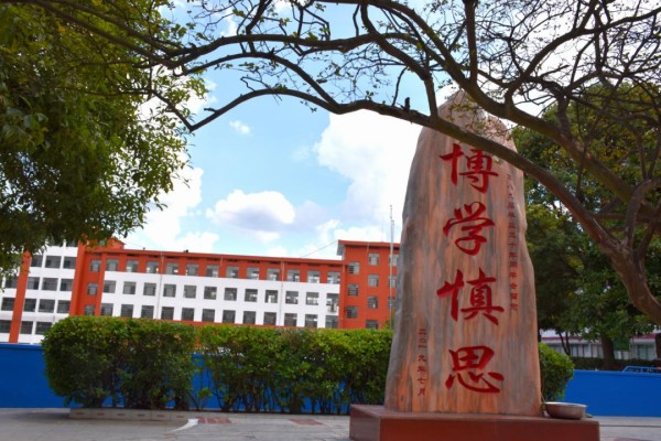 2023年武冈市杨柳展辉学校录取分数线