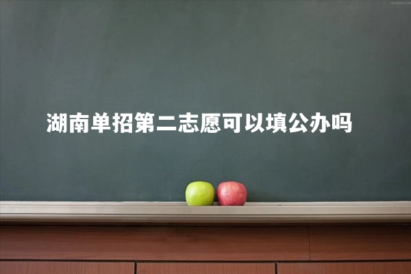 湖南单招第二志愿可以填公办吗