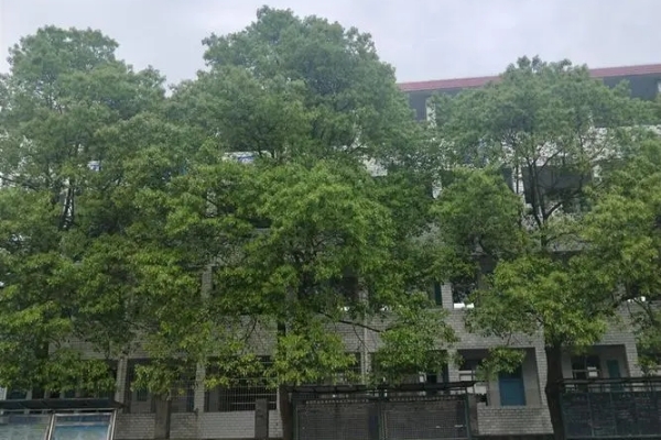 桃源县武菱职业技术学校2024年招生人数