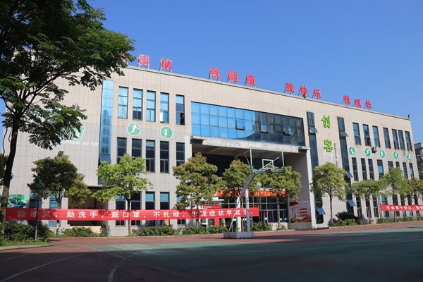 长沙华中涉外职业高中是普高吗
