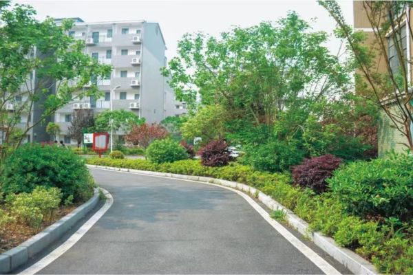 衡阳单招培训机构有哪些