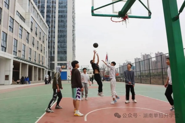 湖南升学宝2025单招培训招生简章