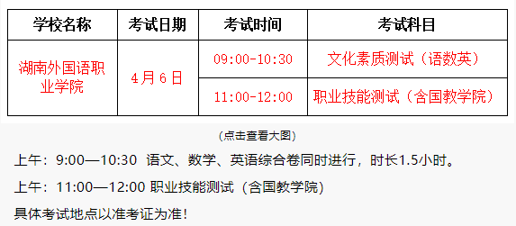 湖南外国语职业学院2025年单招二志愿考试安排