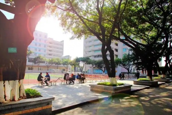 女生读中专业选择什么专业未来好就业好升学