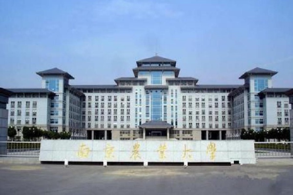 南京农业大学是985还是211