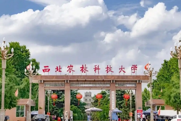 西北农林科技大学是985还是211