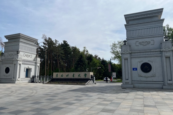 东北林业大学录取分数线2024