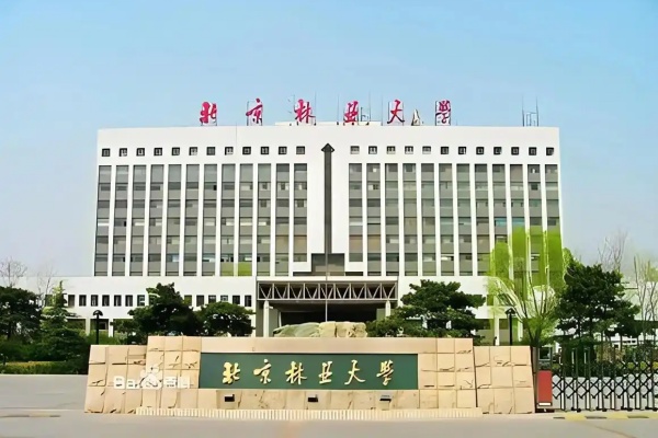 北京林业大学是985还是211