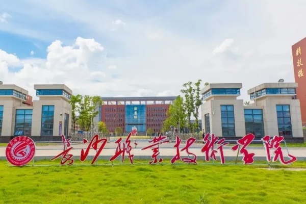 长沙职业技术学院录取分数线2024