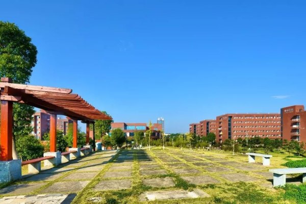 湖南交通职业技术学院分数线2024
