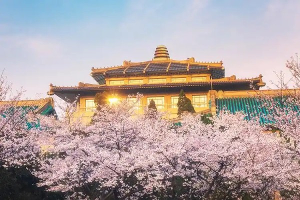 武汉大学2024年录取分