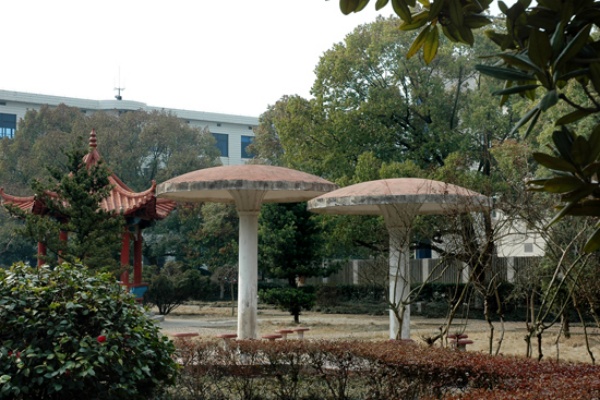 望城区职业中等专业学校2025年招生简章