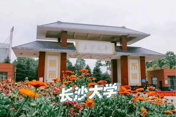 长沙学院2025年专升本招生录取分数线