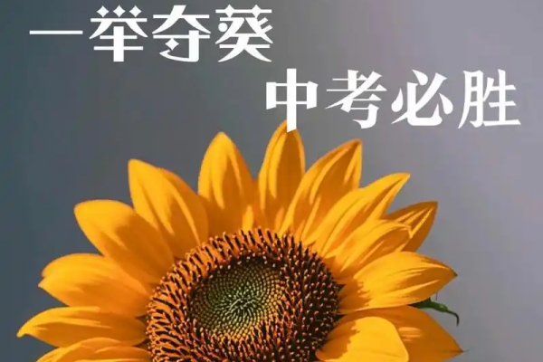 外地怎么回株洲上高中跨区可以参加自主招生吗？