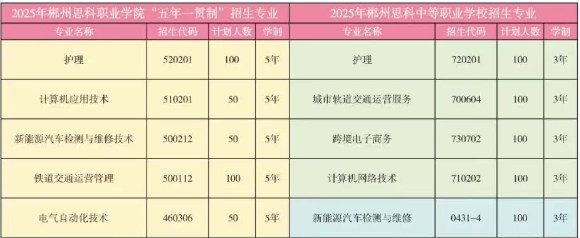 郴州思科中等职业学校2025年招生人数
