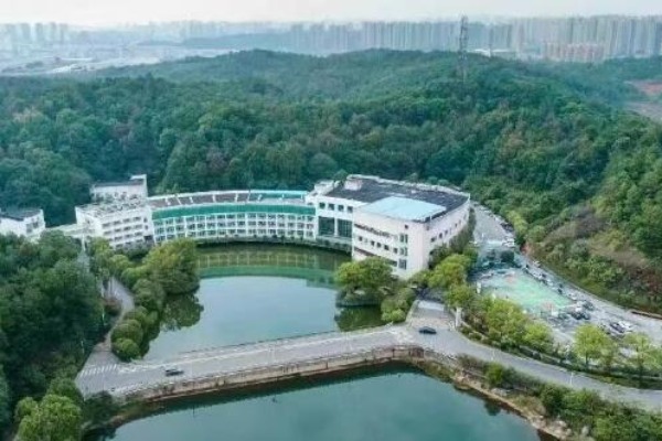 山枫木悦单招集训营简介