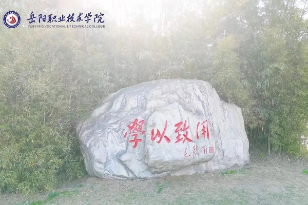 岳阳职业技术学院2025年录取分数