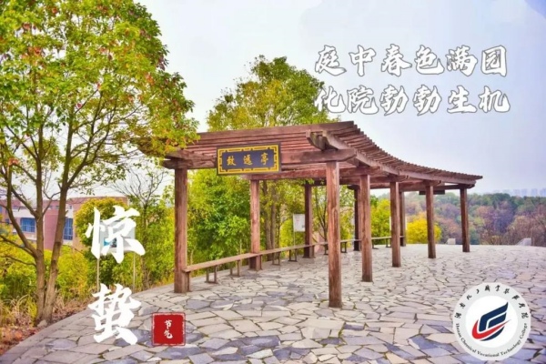 湖南化工职业技术学院2025年录取分数