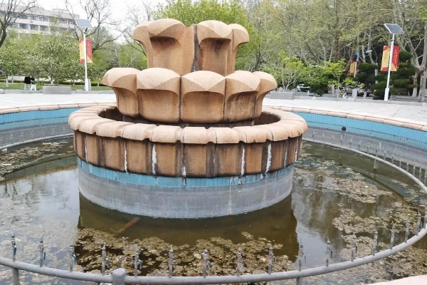 11688是哪个学校代码